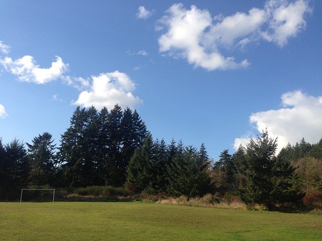 BA季后赛